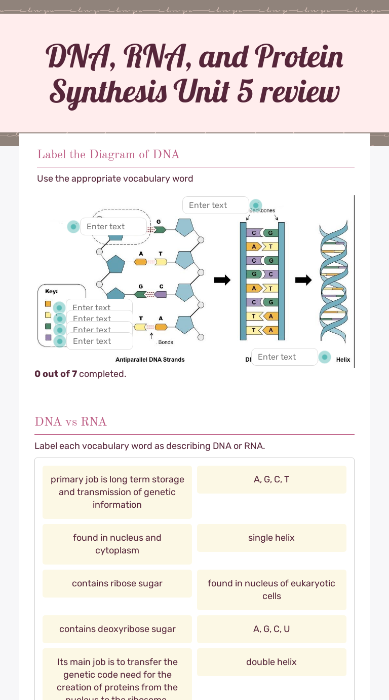 DNA, RNA, and Protein Synthesis Unit 25 review  Interactive Intended For Protein Synthesis Review Worksheet Answers