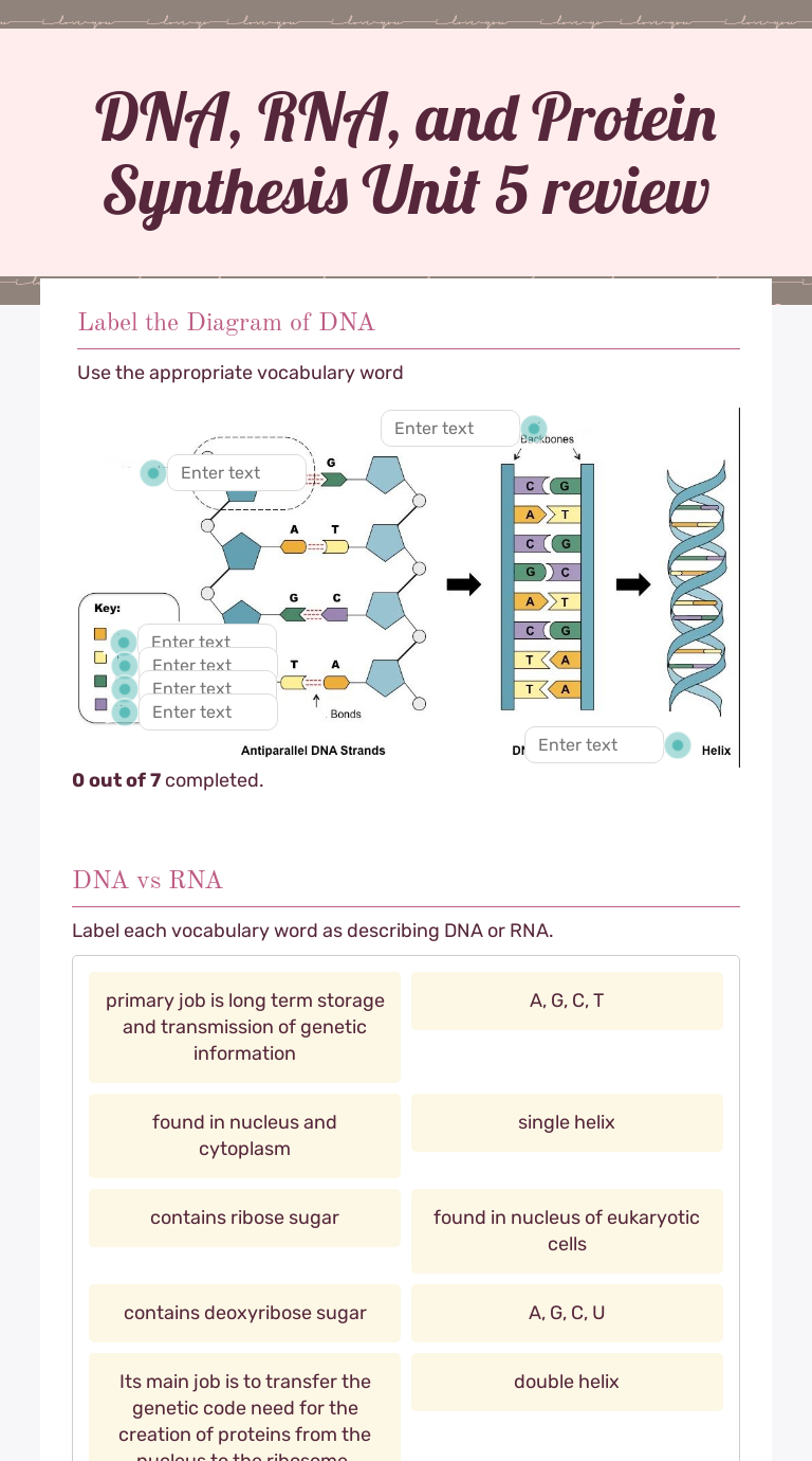 DNA, RNA, and Protein Synthesis Unit 24 review  Interactive Pertaining To Protein Synthesis Review Worksheet Answers