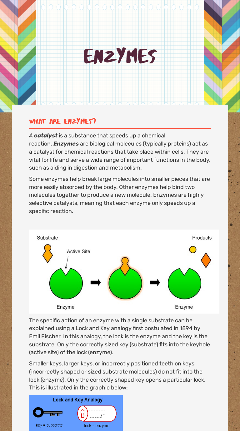mb homework 3 worksheet about enzymes