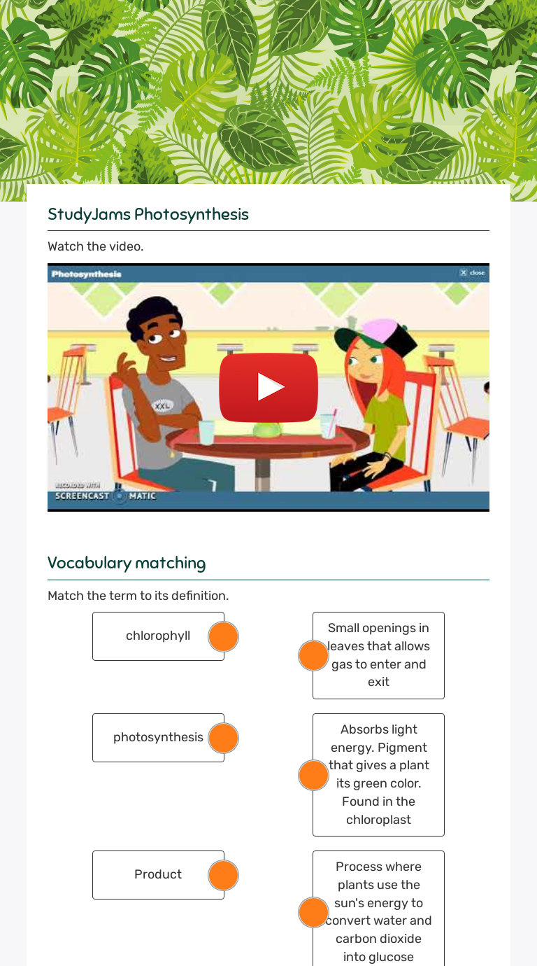 photosynthesis-interactive-worksheet-by-meredith-berry-wizer-me