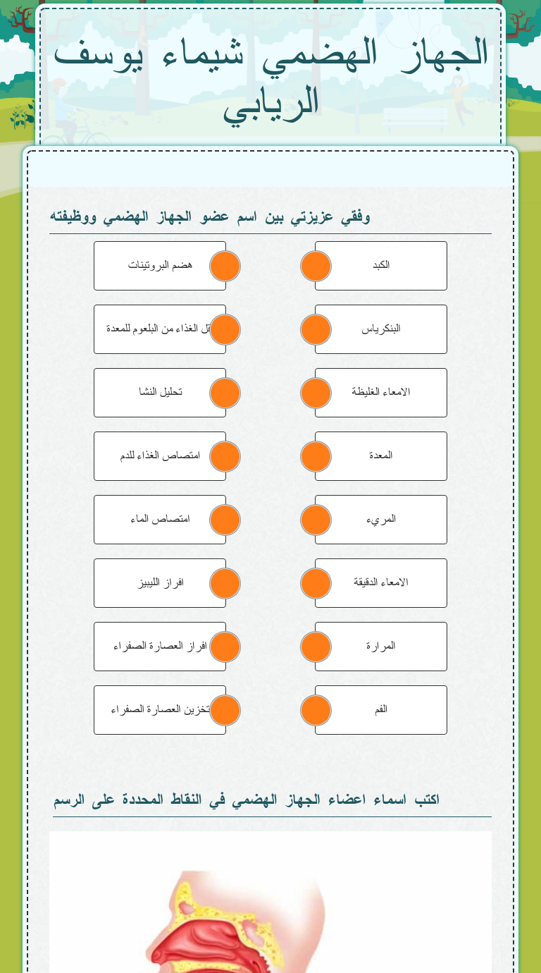 الجهاز الهضمي
شيماء يوسف الريابي Grade 9 worksheet preview