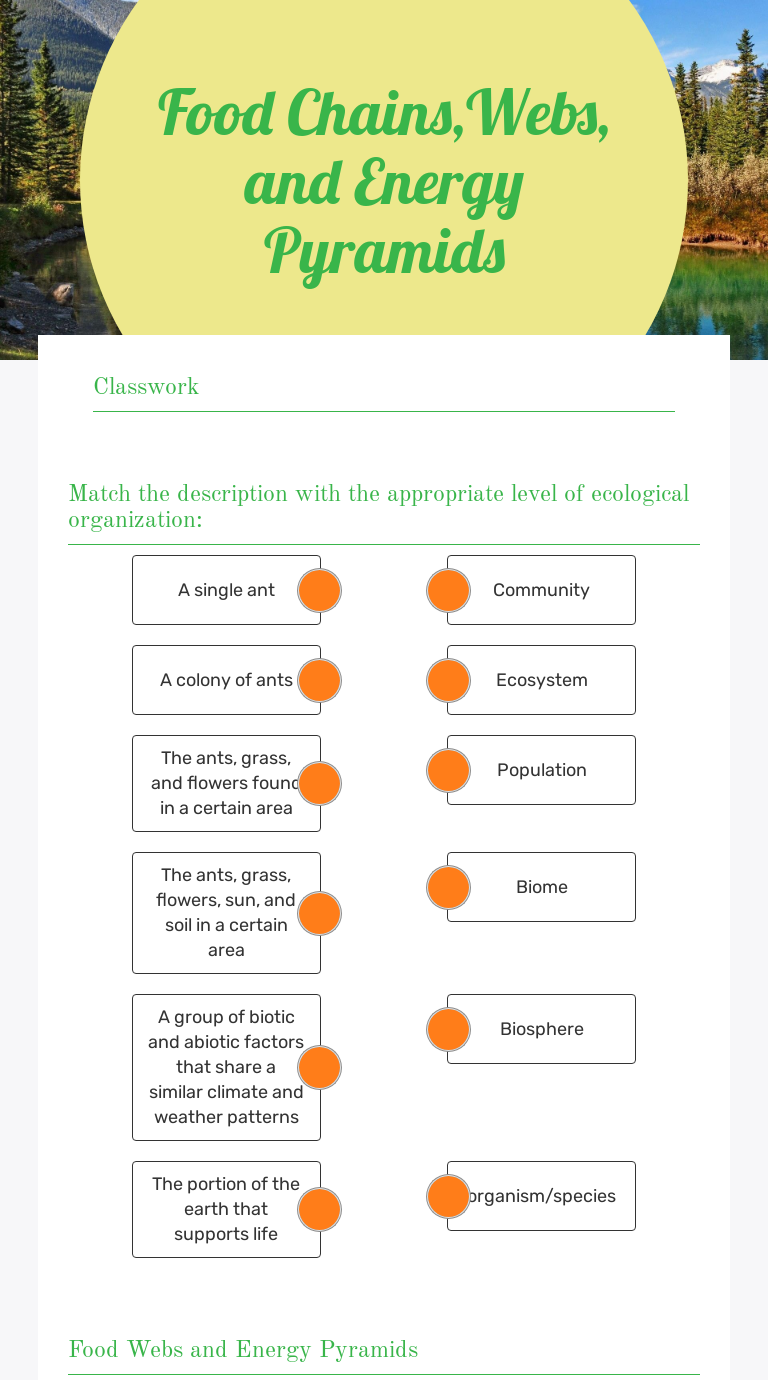 Food Chains,Webs, And Energy Pyramids | Interactive Worksheet By ...