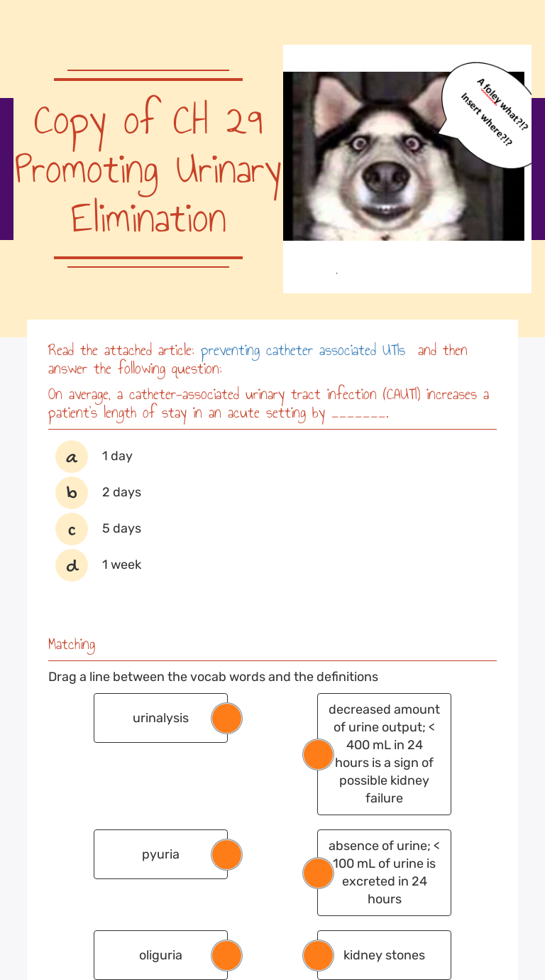 Copy Of CH 29 Promoting Urinary Elimination Interactive Worksheet By 