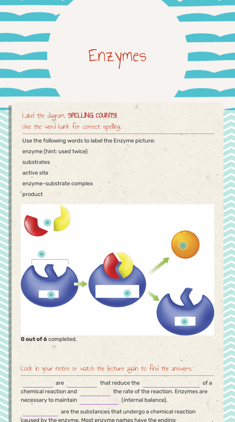 Enzymes Interactive Worksheet by Christopher Sheffer Wizer.me