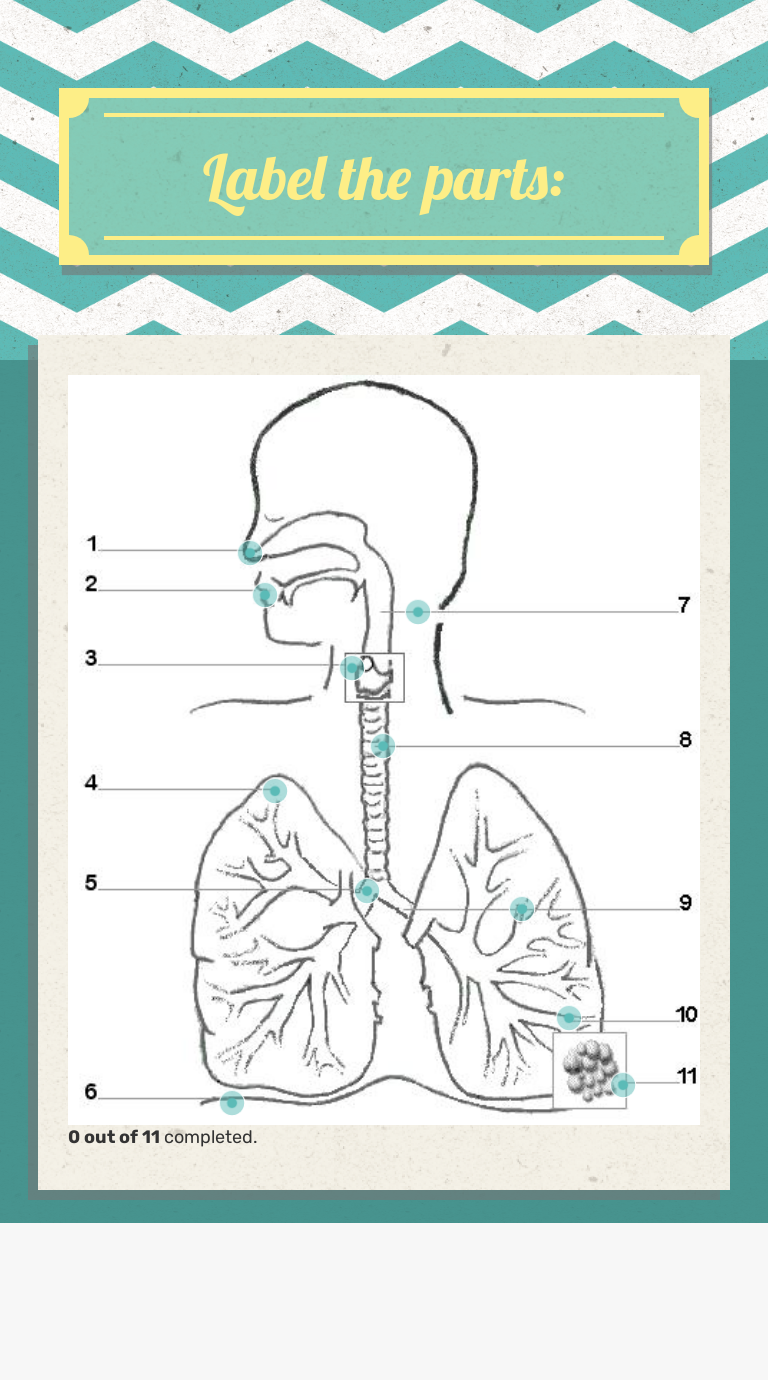 Label the parts: | Interactive Worksheet | Wizer.me