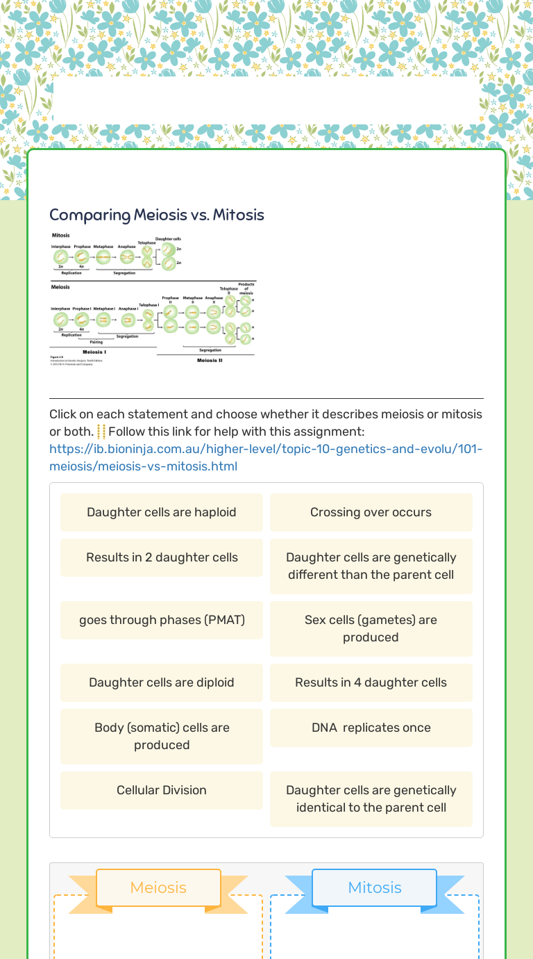 Mitosis vs. Meiosis worksheet preview image
