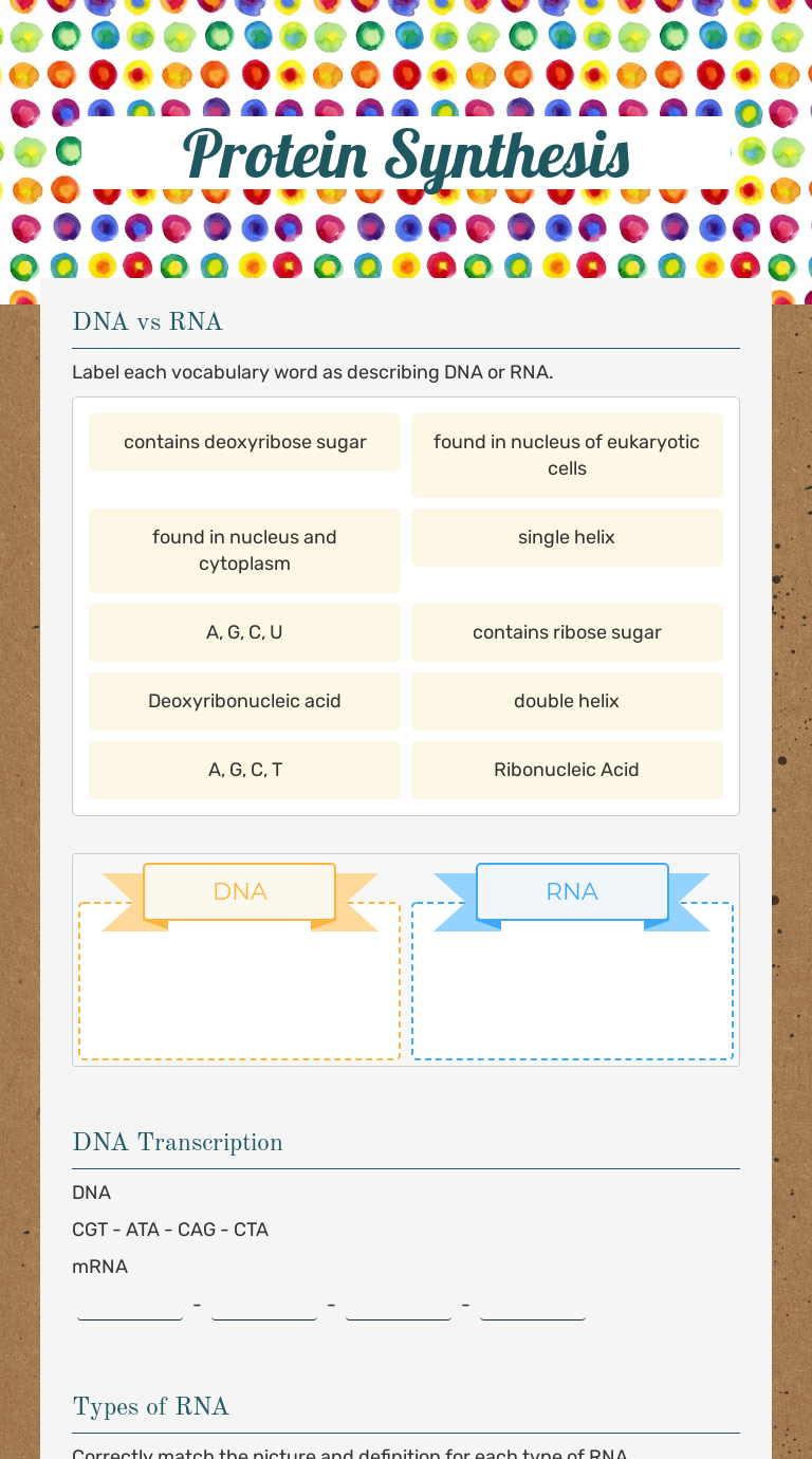 Protein Synthesis Interactive Worksheet by Andrew Arroyo Wizer.me