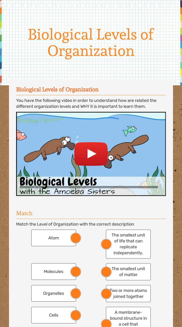 Biological Levels of Organization Interactive Worksheet by Meghan