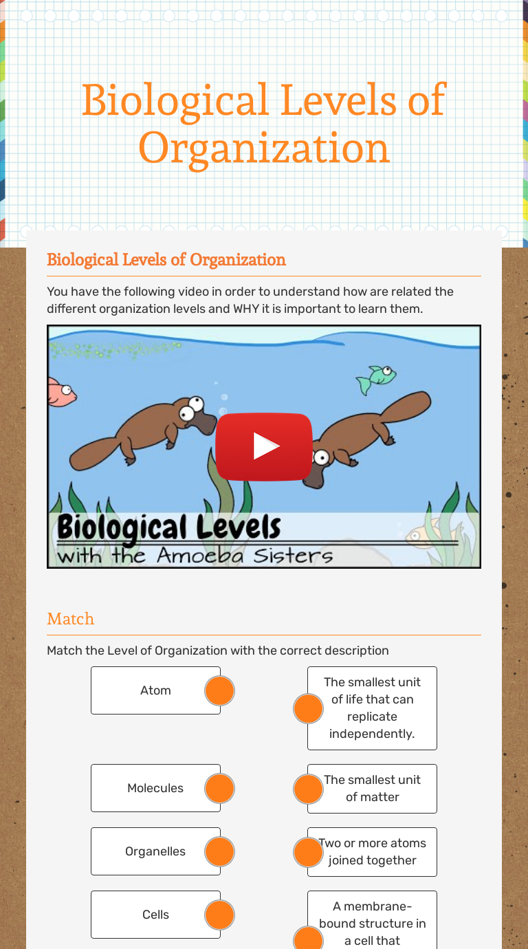Biological Levels of Organization  Interactive Worksheet by Regarding Levels Of Biological Organization Worksheet