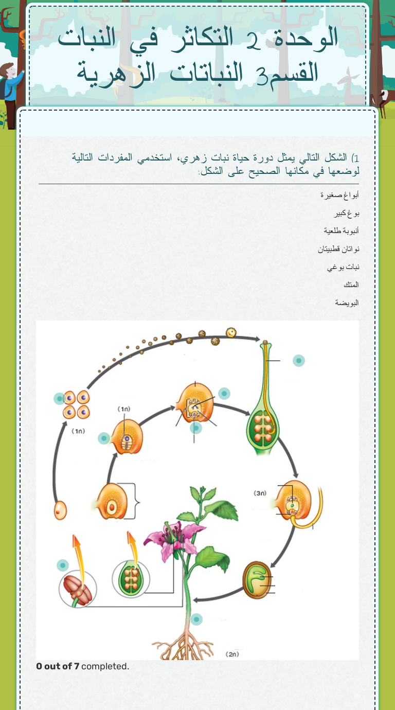 الوحدة 2 التكاثر في النبات القسم3 النباتات الزهرية Interactive Worksheet By Rehab Altenaiji Wizer Me