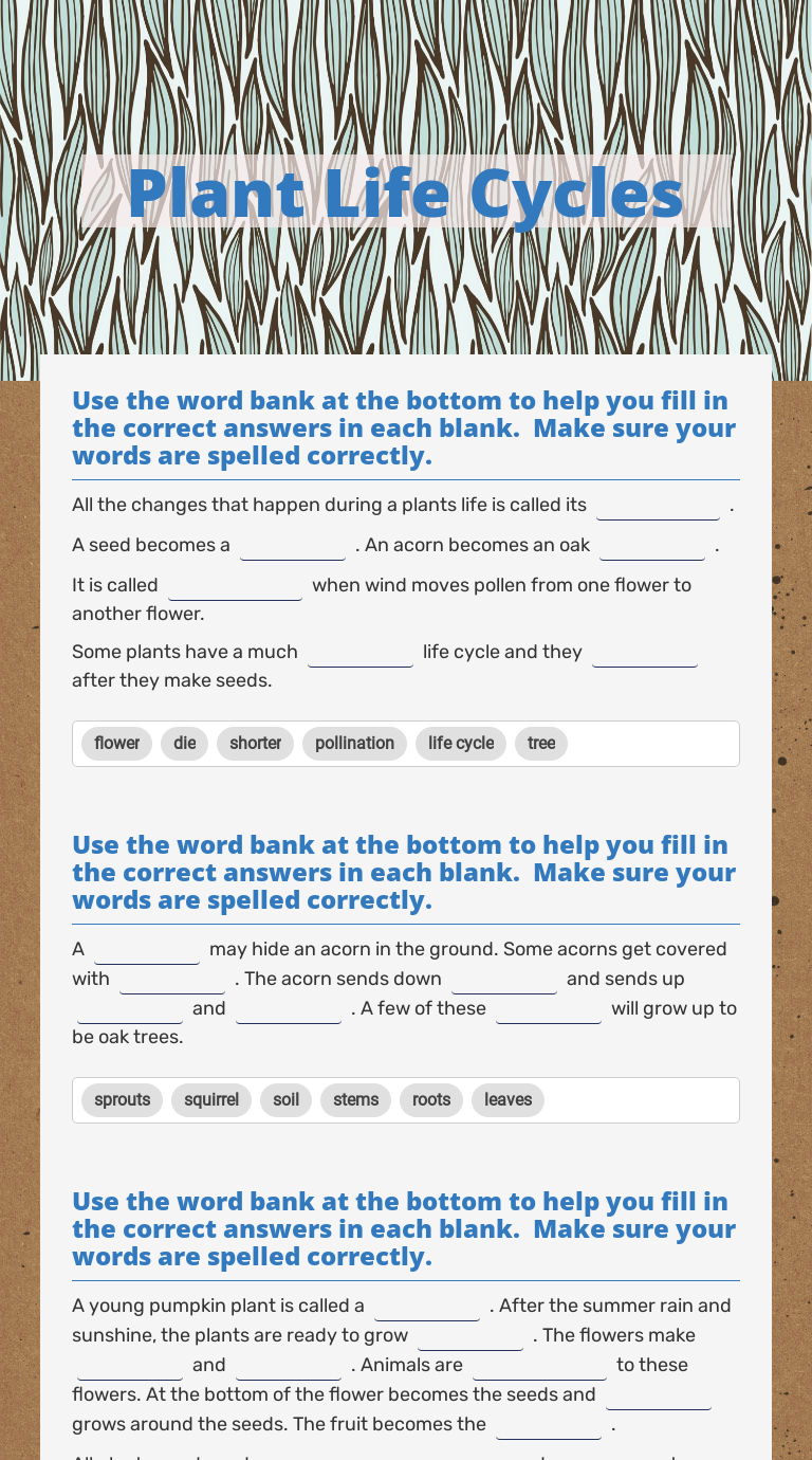 Plant Life Cycles worksheet preview