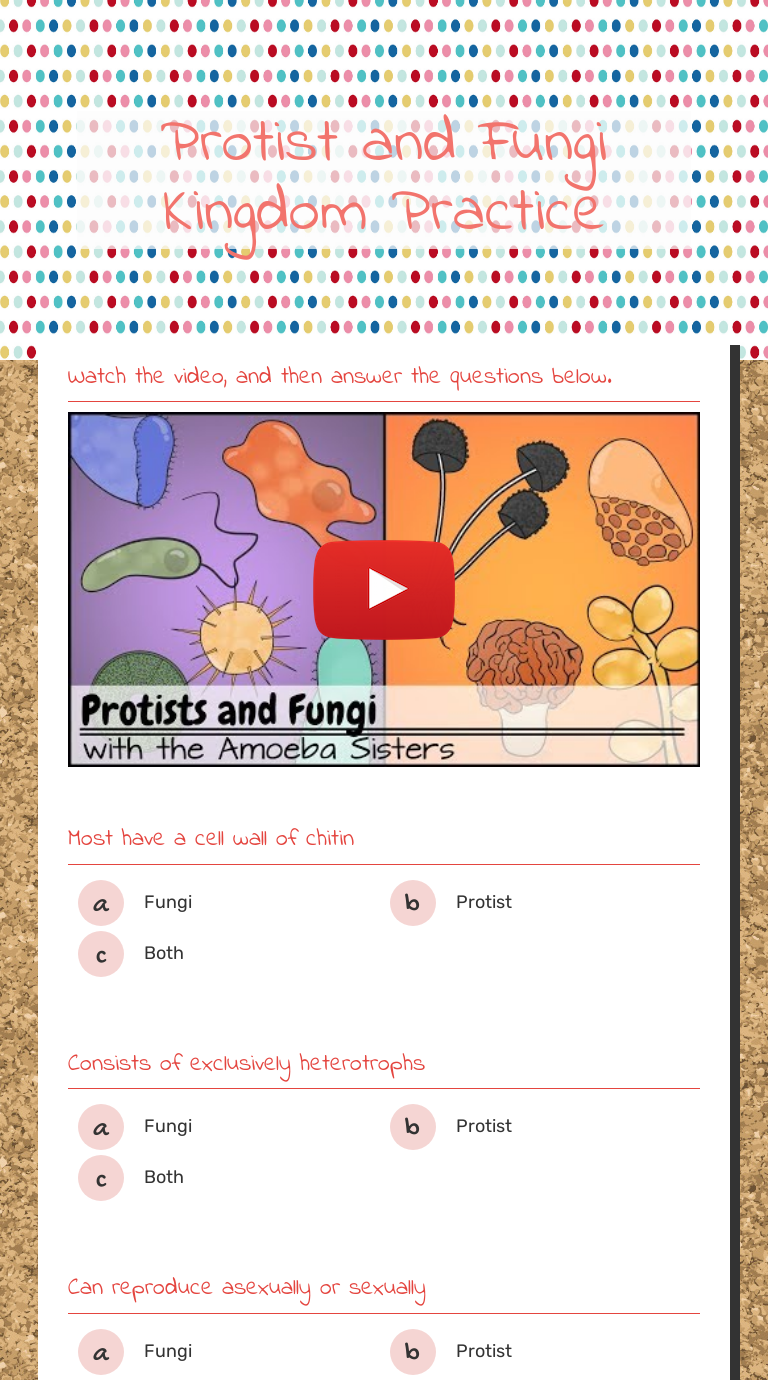 Protist and Fungi Kingdom Practice worksheet preview