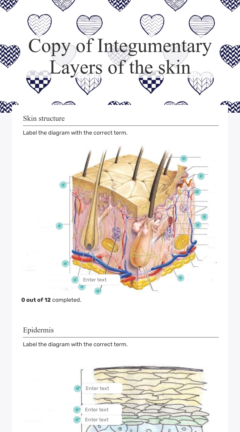 Copy of Integumentary Layers of the skin  Interactive Worksheet Throughout Integumentary System Worksheet Answers