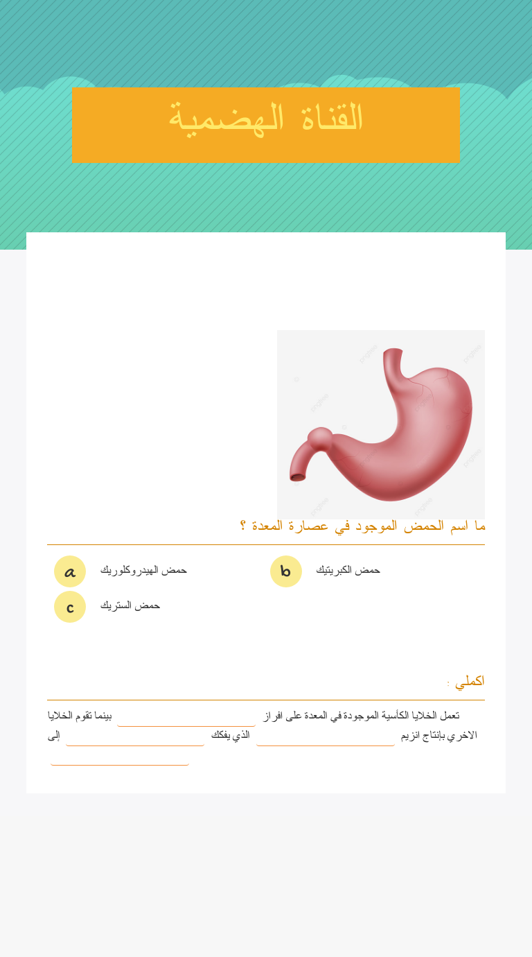 القناة الهضمية worksheet preview image