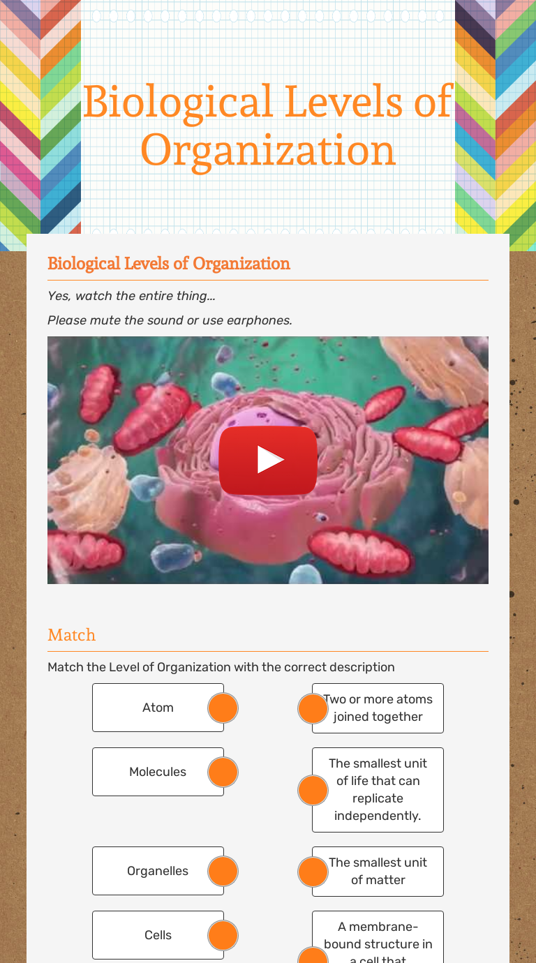 Biological Levels of Organization worksheet preview image