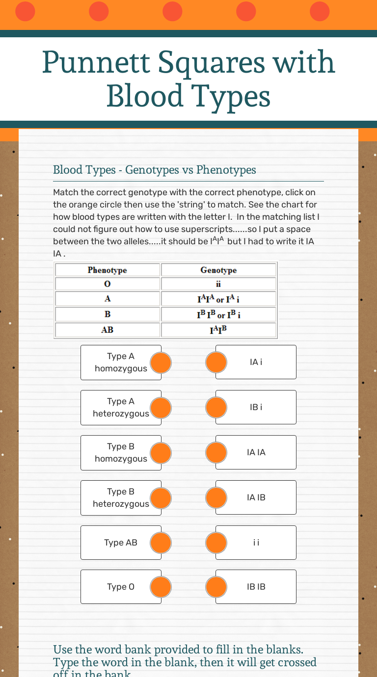 Blood Type Punnett Squares Worksheets