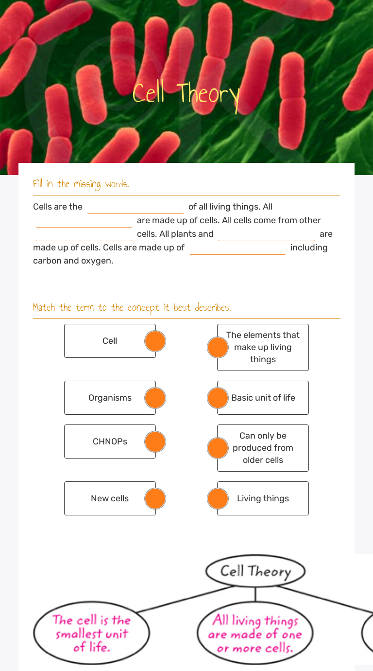 cell-theory-interactive-worksheet-by-denise-ridgway-wizer-me