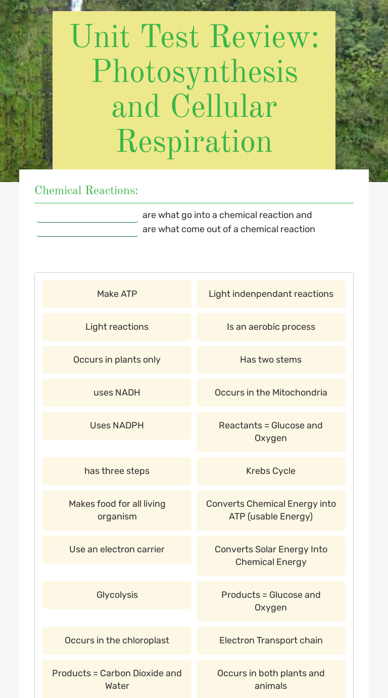 32 Photosynthesis And Cellular Respiration Worksheet Answer Key ...