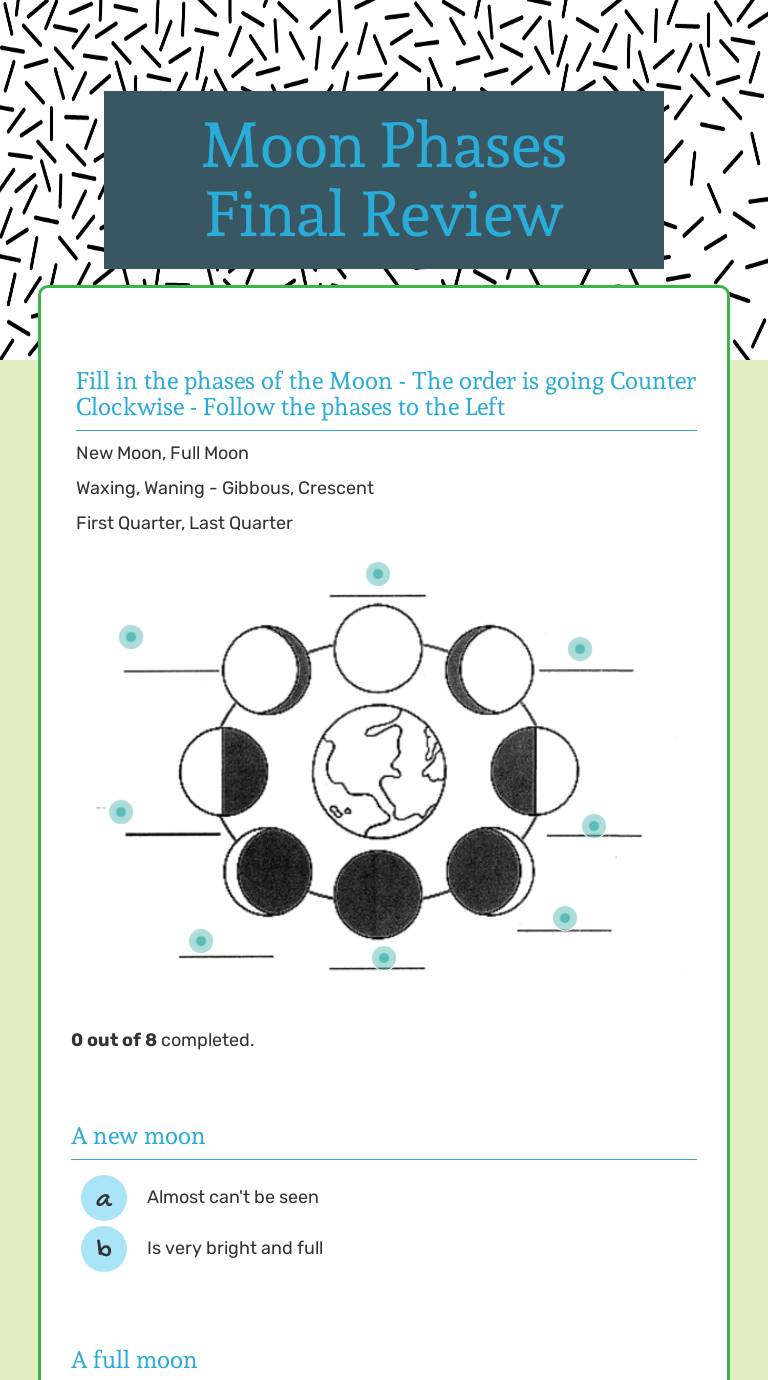 Moon Phases Final Review worksheet preview image