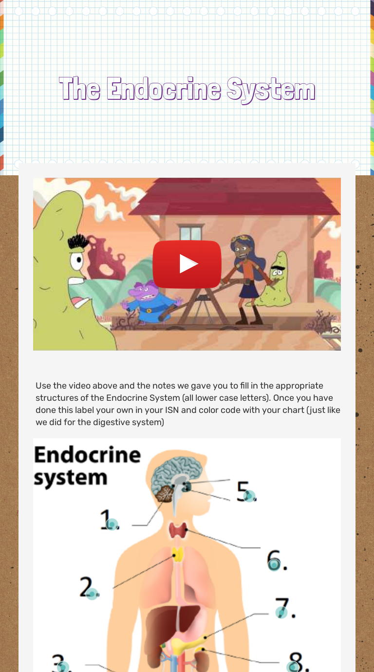 the-endocrine-system-interactive-worksheet-by-leah-duffield-wizer-me