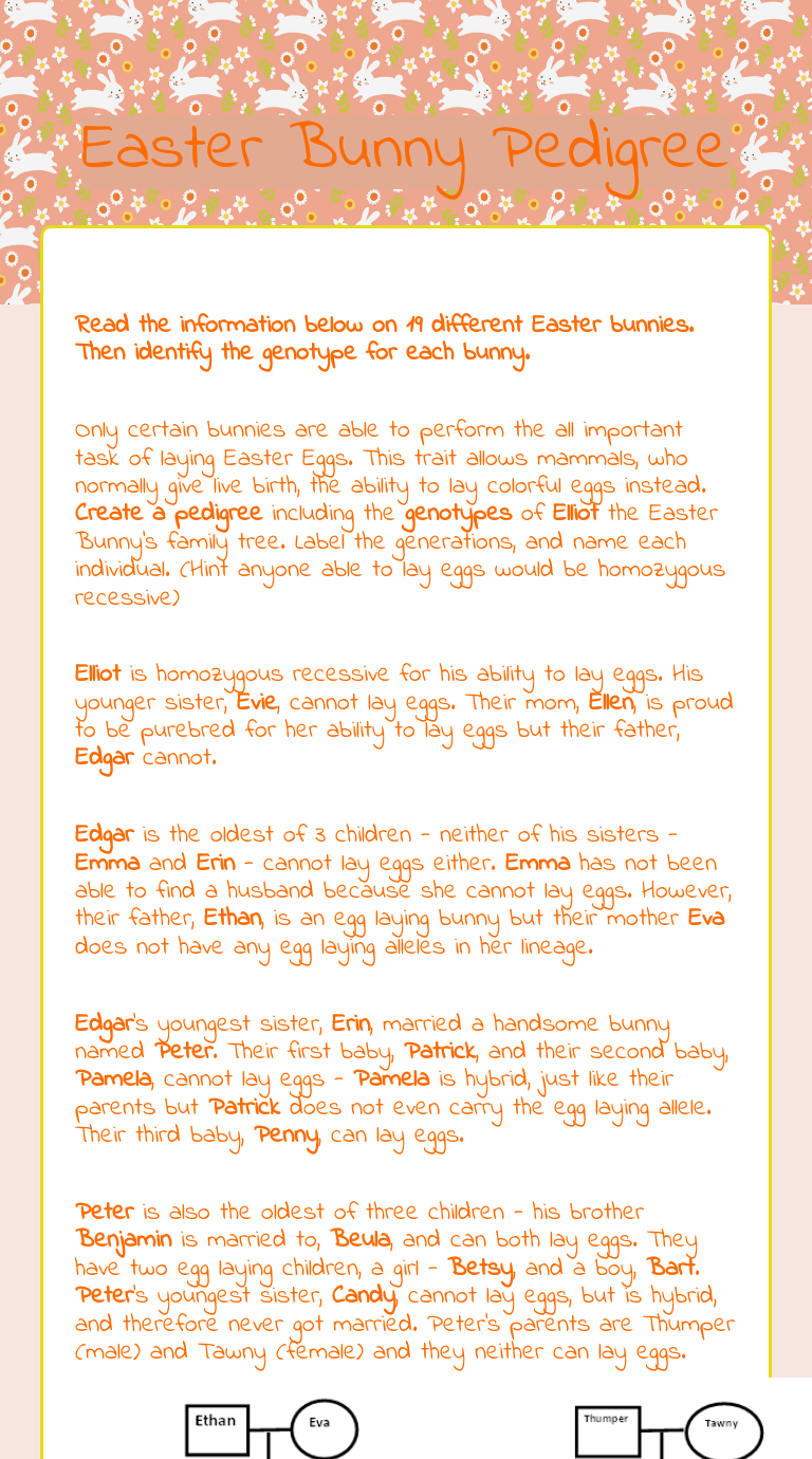 Easter Bunny Pedigree Grade 10 worksheet preview