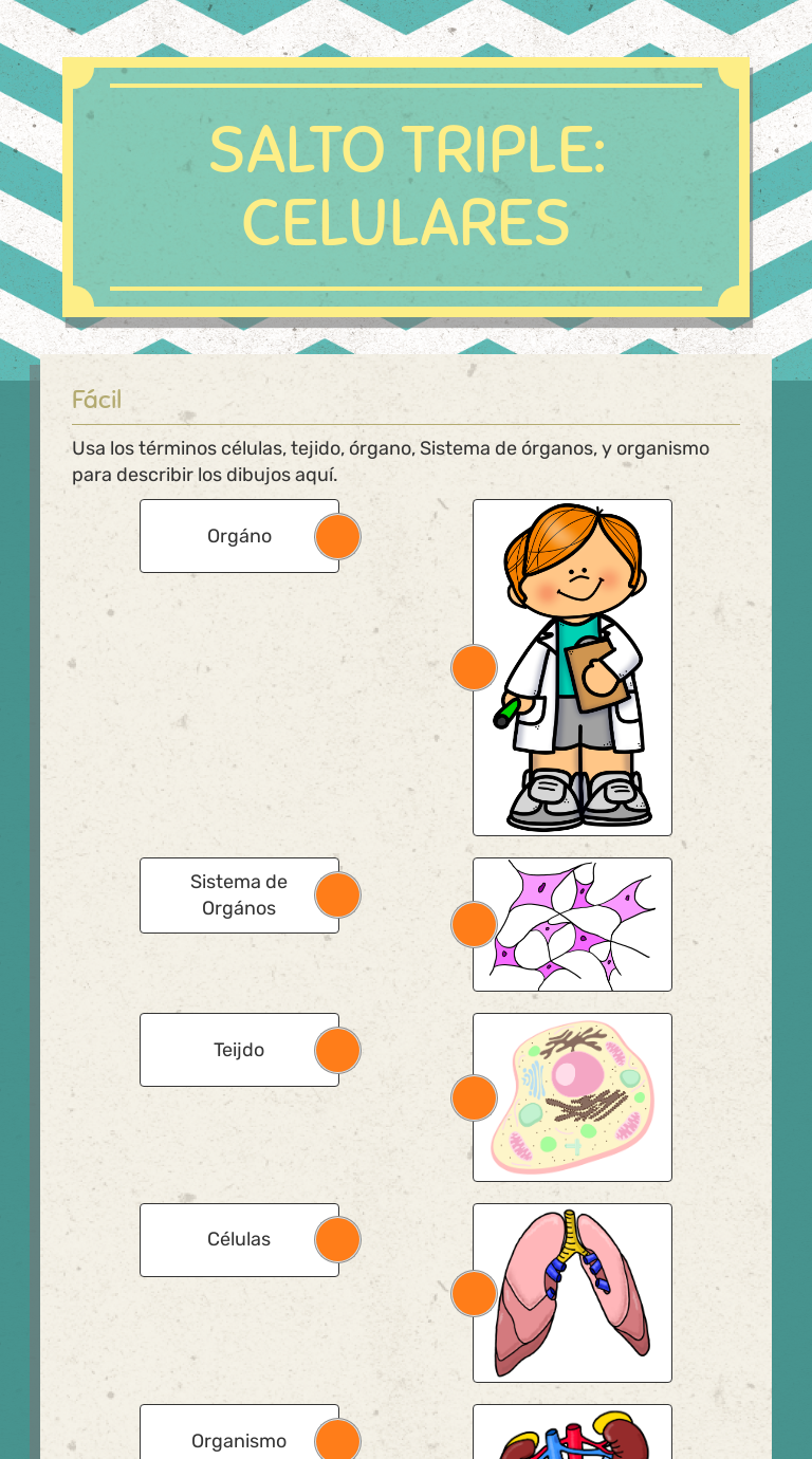 Salto Triple Celulares Interactive Worksheet By Meghan Vismara Wizer Me