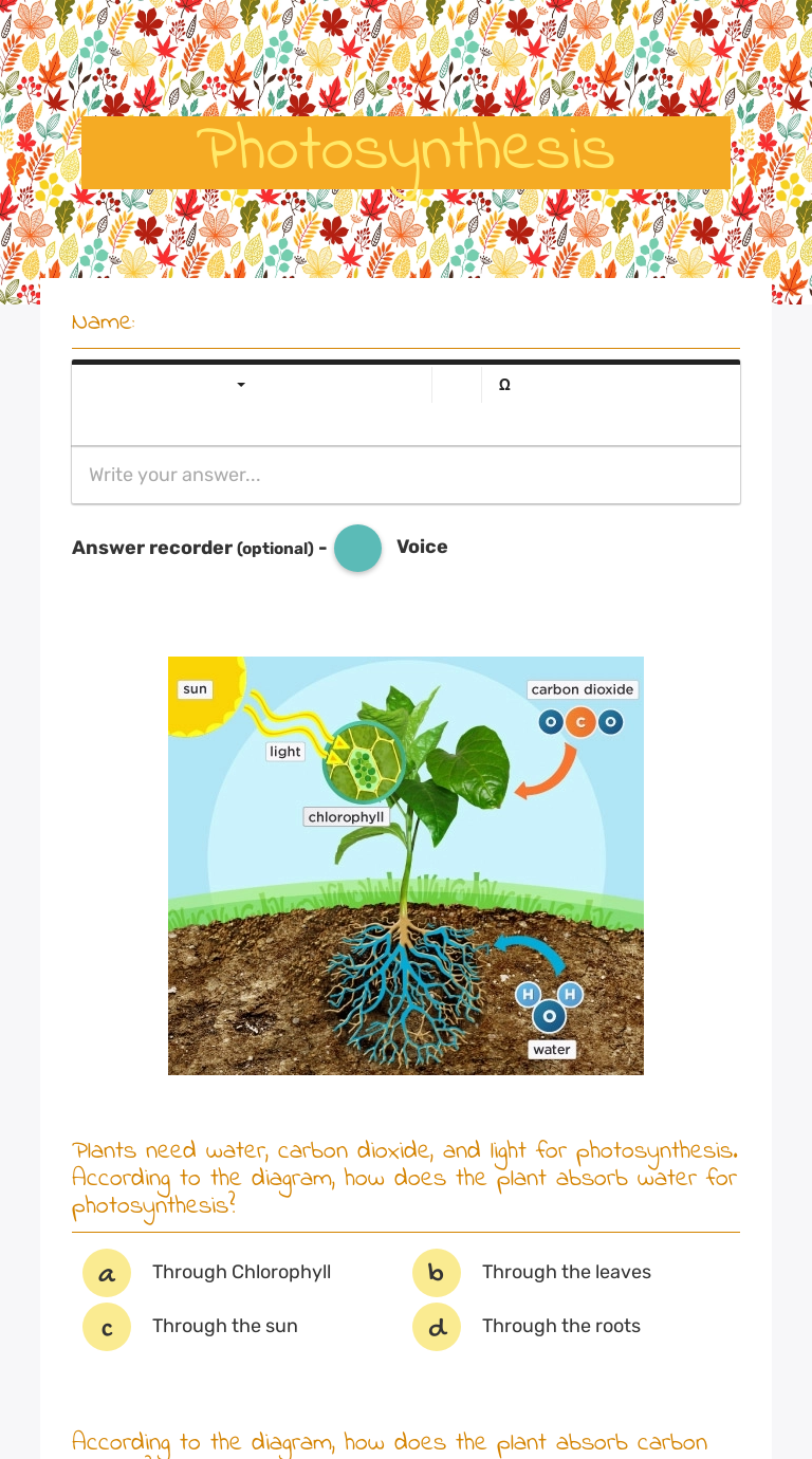 Photosynthesis worksheet preview image
