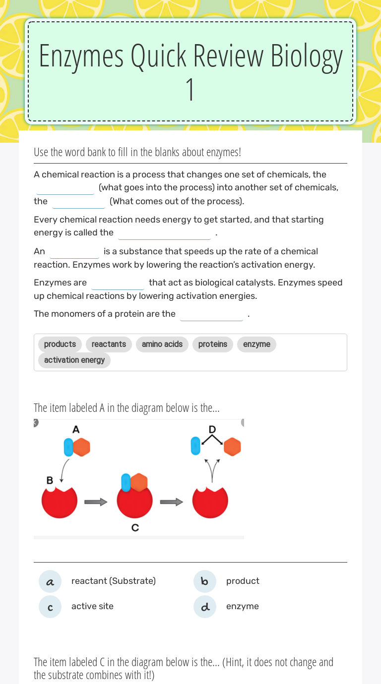 Enzyme Review Worksheet Answers