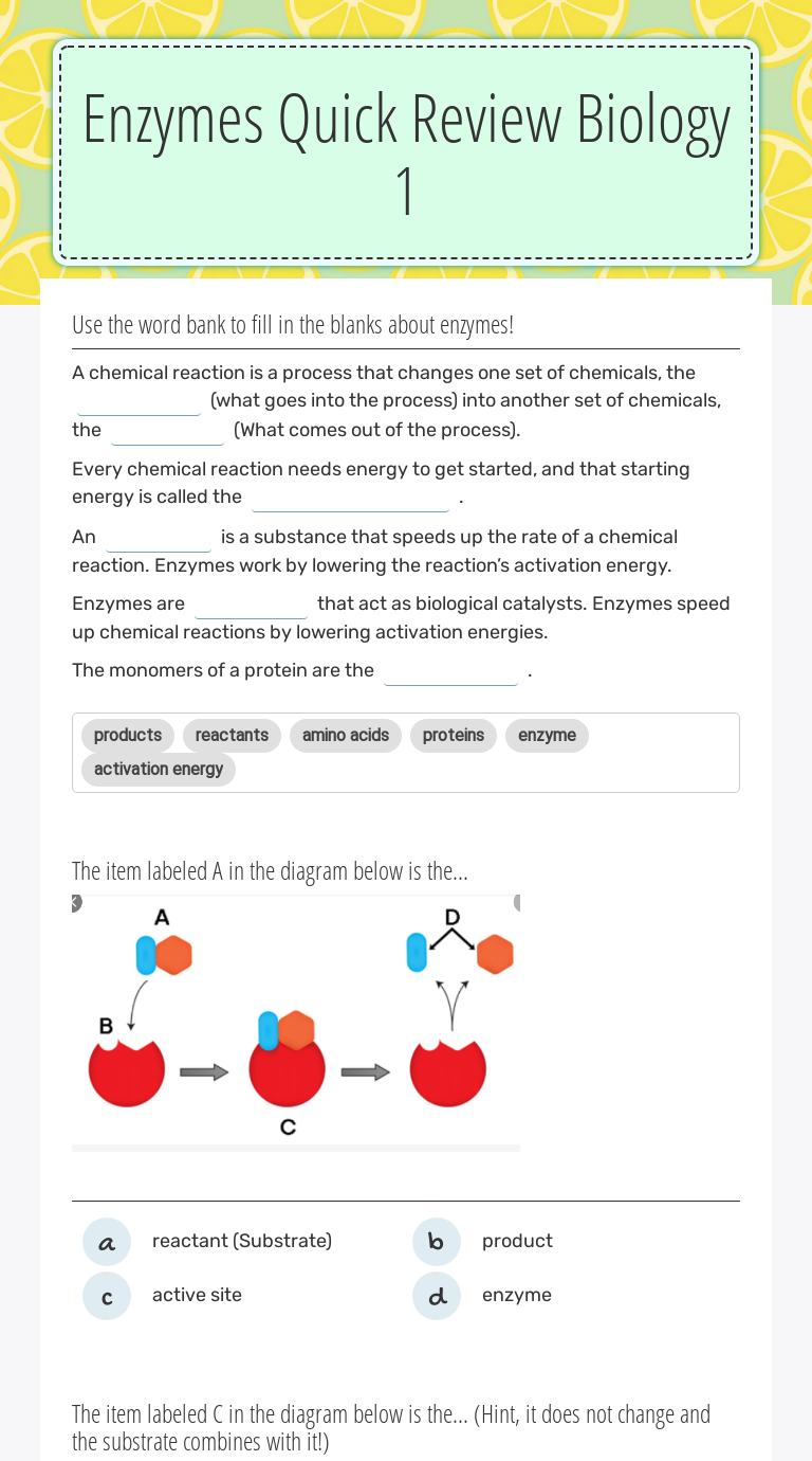 Enzymes Quick Review Biology 11  Interactive Worksheet by Kendrick Throughout Enzyme Review Worksheet Answers