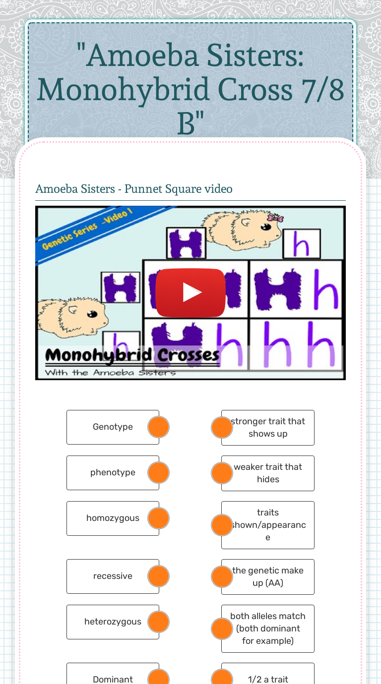 Amoeba Sisters Monohybrid Cross 7 8 B Interactive Worksheet By Aaron Flores Wizer Me