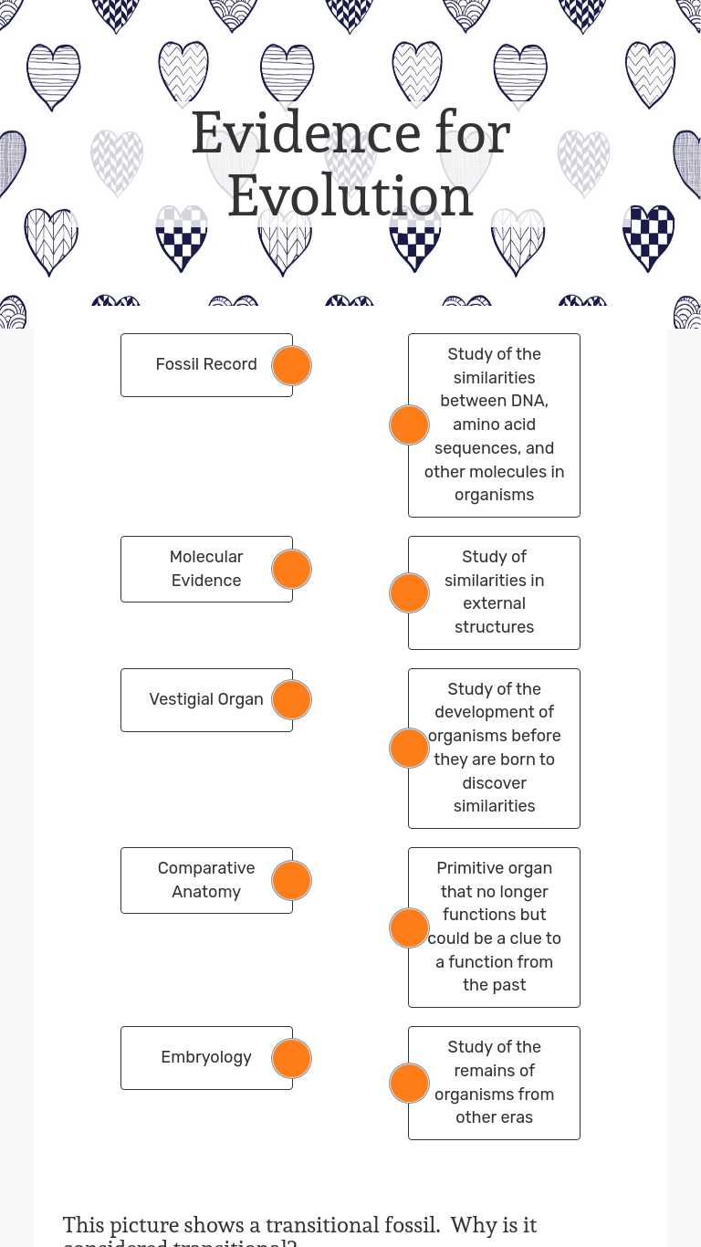 Evidence for Evolution  Interactive Worksheet by Lisa Short Intended For Evidence For Evolution Worksheet Answers