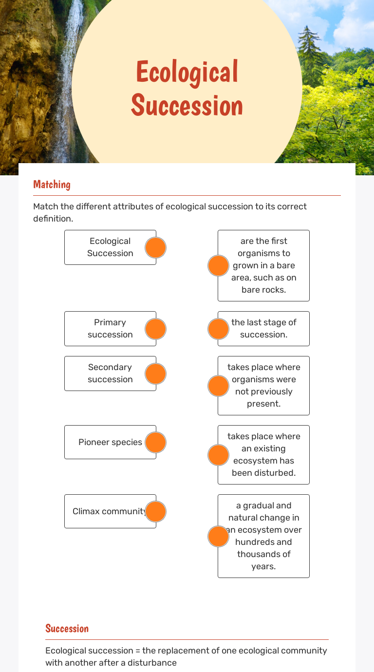 Ecological Succession  Interactive Worksheet by Jaqueline Within Ecological Succession Worksheet Answers