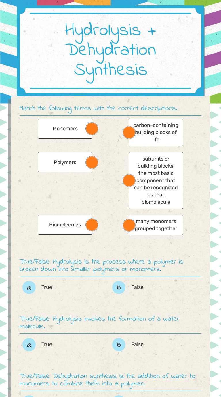 Hydrolysis   Dehydration Synthesis Interactive Worksheet by KATHRYN