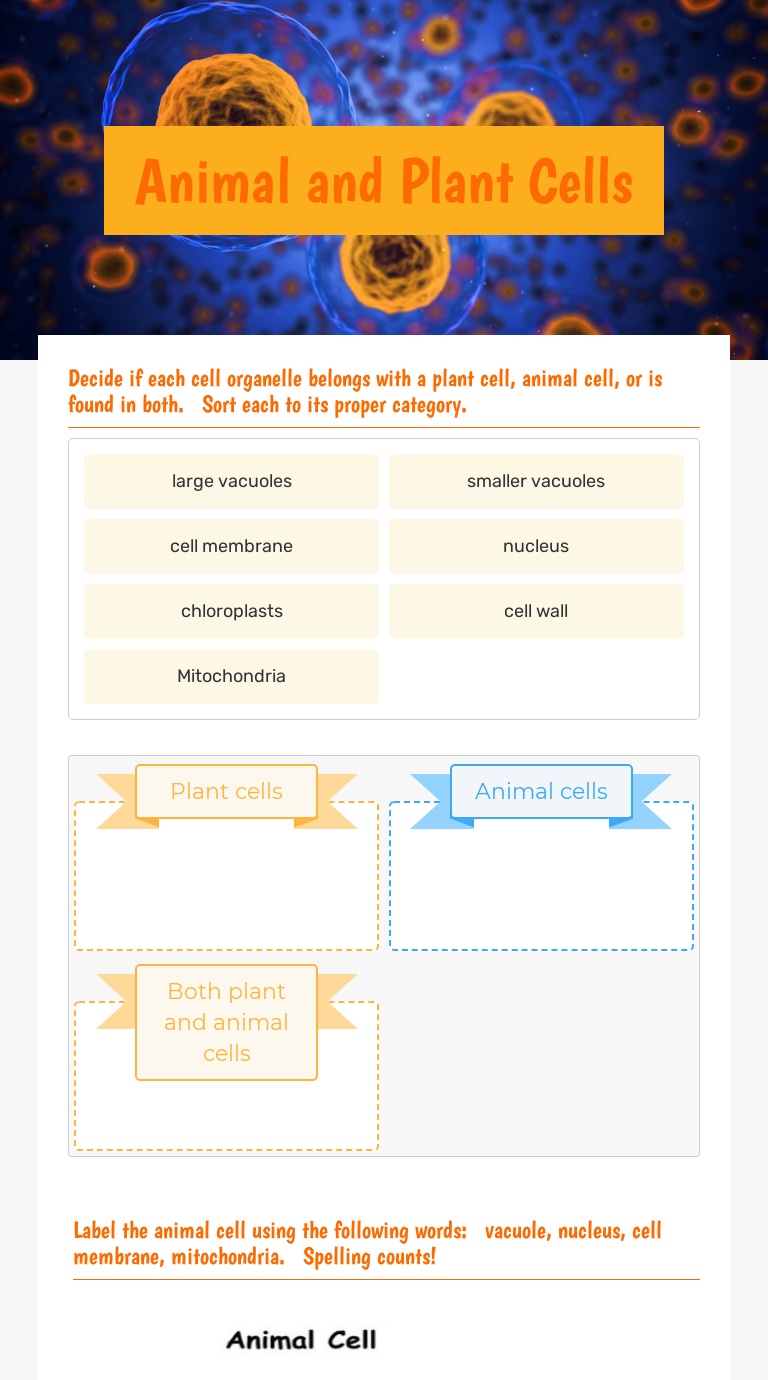 Animal And Plant Cells Interactive Worksheet By Nigel Fitzharris Wizer Me