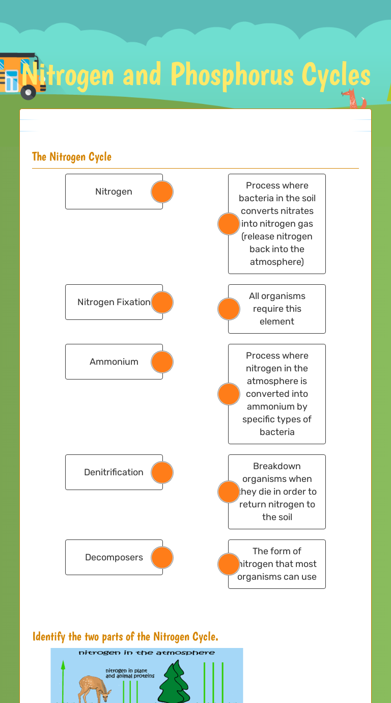 Nitrogen and Phosphorus Cycles  Interactive Worksheet by Shayna Within Nitrogen Cycle Worksheet Answer Key