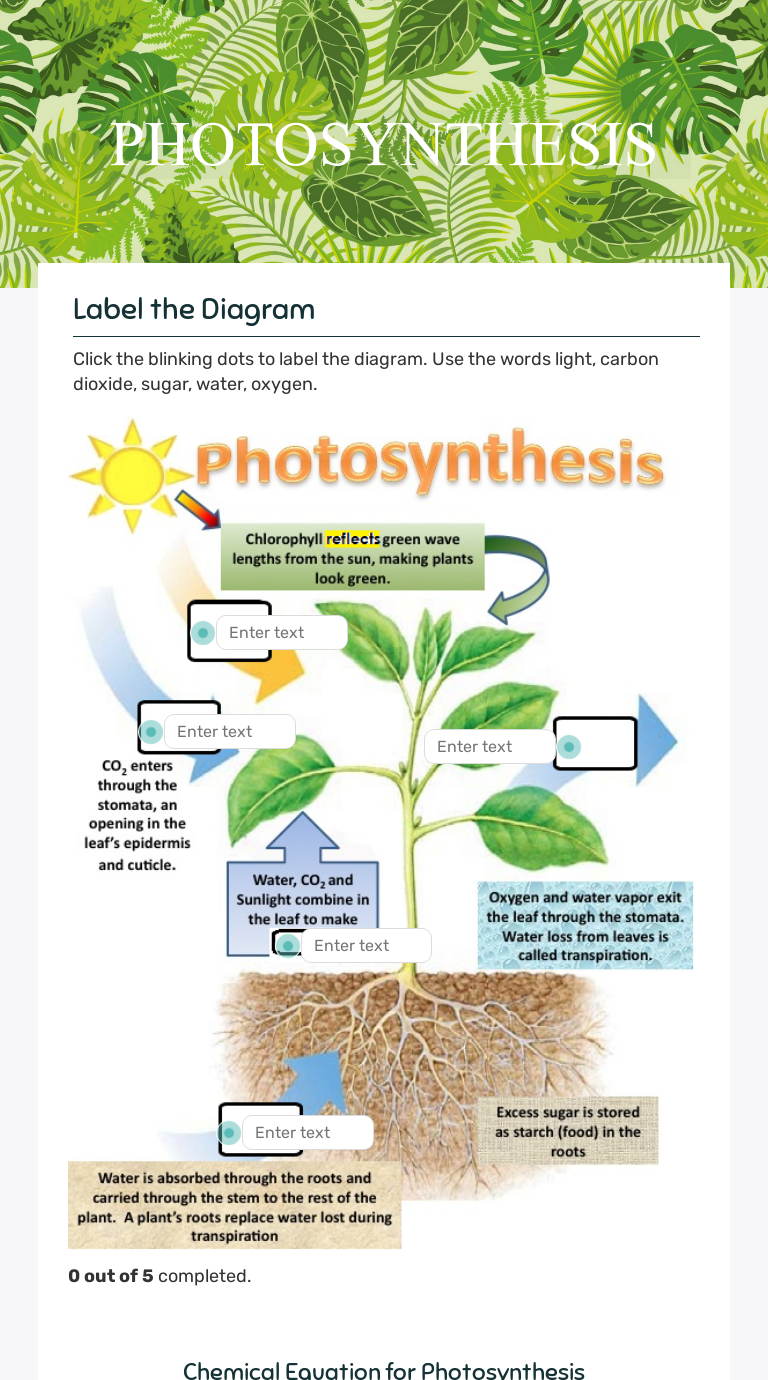 Bioman Biology Photosynthesis Interactive Worksheet Answer Key