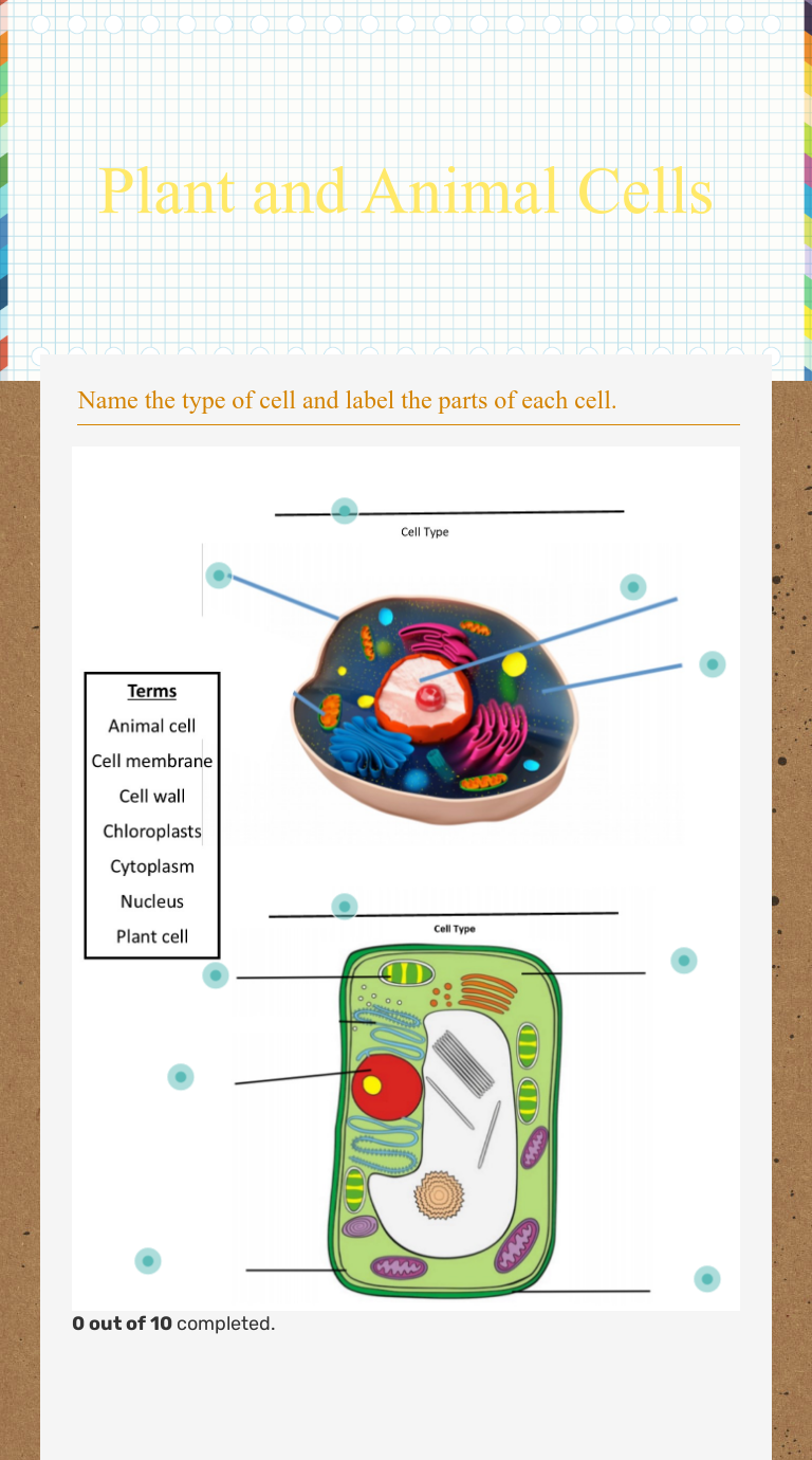 Plant and Animal Cells | Interactive Worksheet by Ashton Watts | Wizer.me