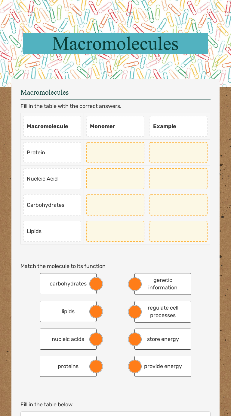 Macromolecules | Interactive Worksheet by Caitlin Hunt | Wizer.me
