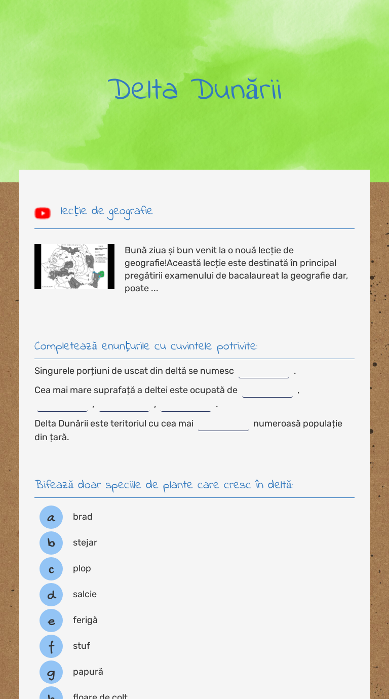 Delta Dunării worksheet preview image