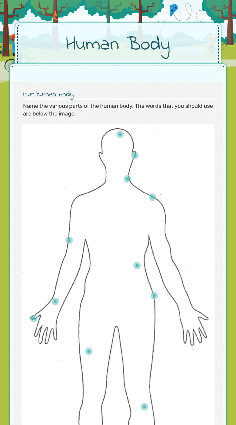 human body interactive worksheet by judith morais wizerme