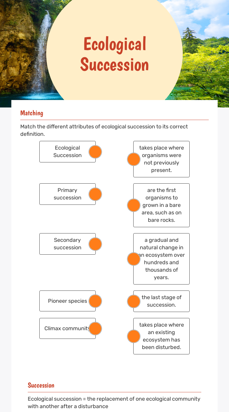 ecological-succession-interactive-worksheet-by-eileen-petzold-wizer-me