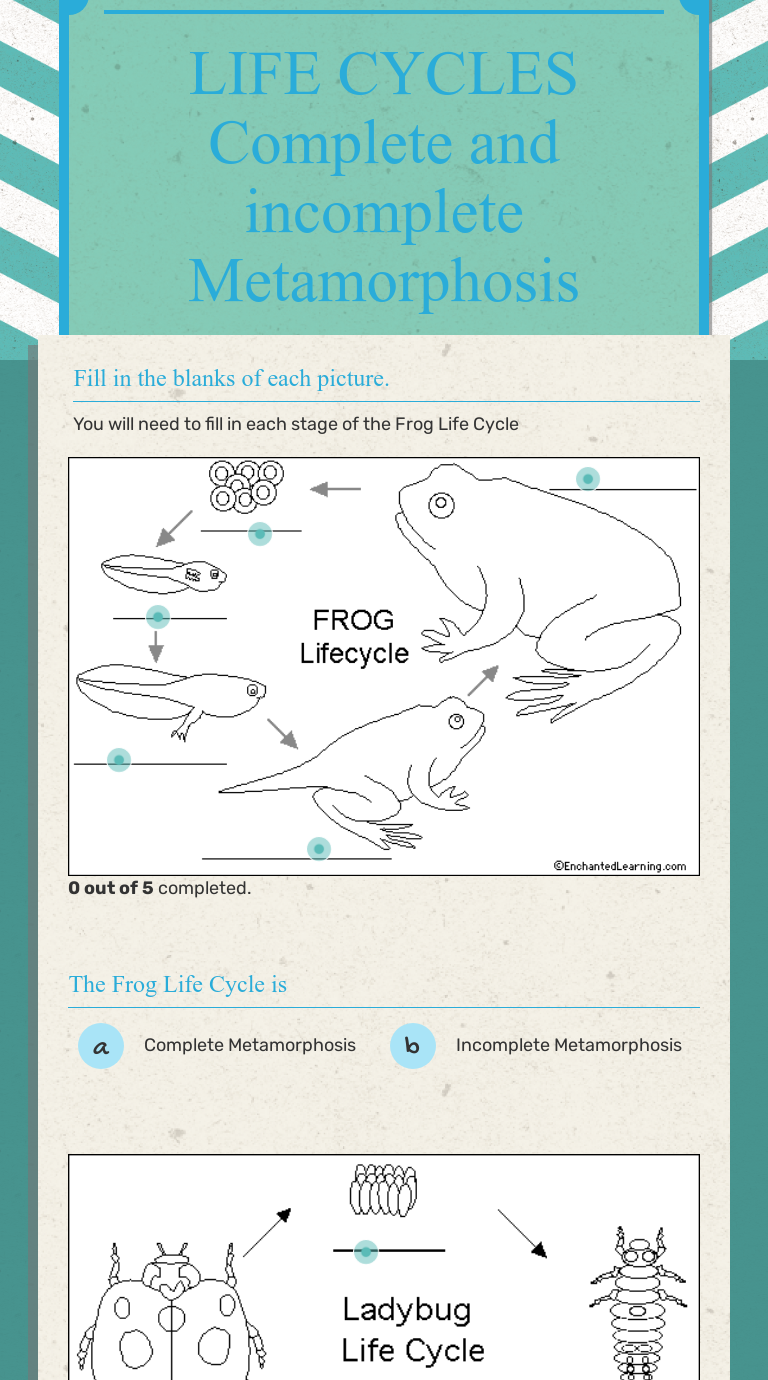 LIFE CYCLES Complete And Incomplete Metamorphosis | Interactive ...