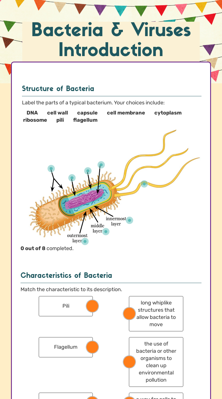 Bacteria & Viruses Introduction  Interactive Worksheet by Ms Throughout Characteristics Of Bacteria Worksheet