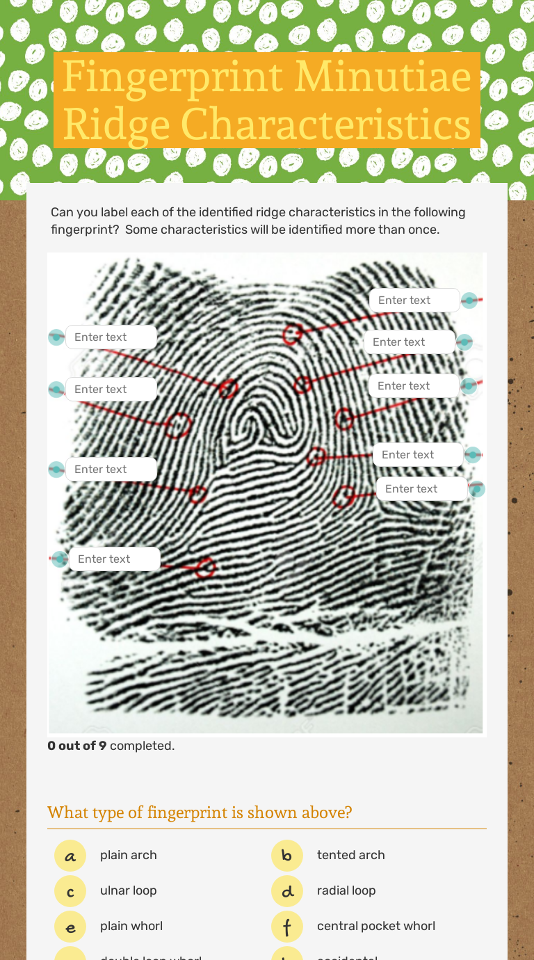 fingerprint ridge characteristics worksheet