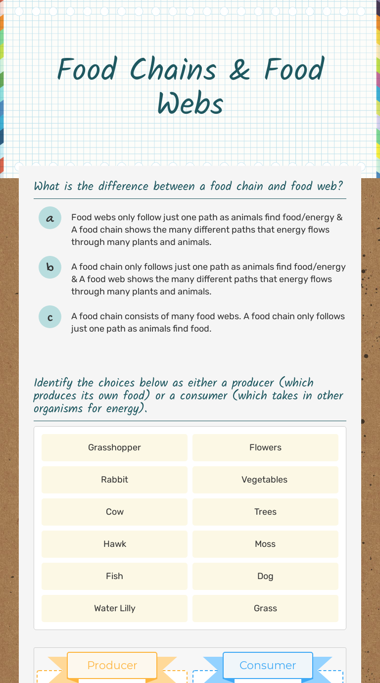 02. Terrestrial Food Web Worksheet: Australian Outback Ecosystem - Studocu, image size:768x1380