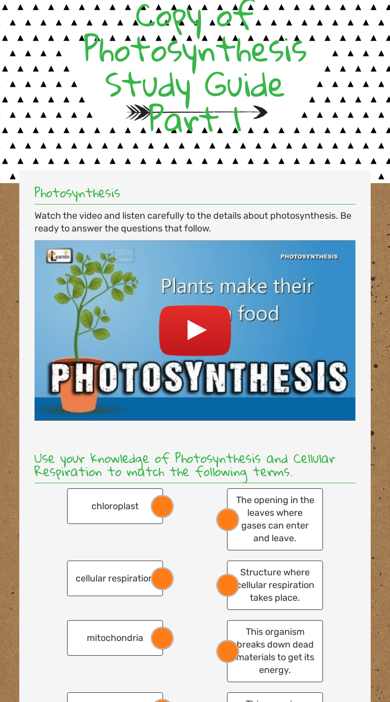 Copy of Photosynthesis Study Guide Part 1 Interactive Worksheet by