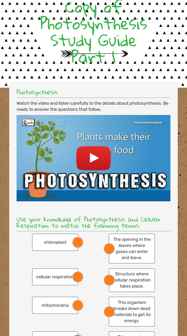 copy-of-photosynthesis-study-guide-part-1-interactive-worksheet-by