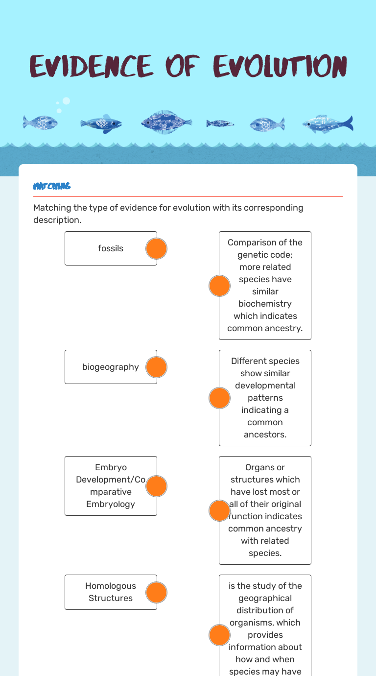 Evidence of evolution  Interactive Worksheet by Patricia Eyster Intended For Evidence For Evolution Worksheet