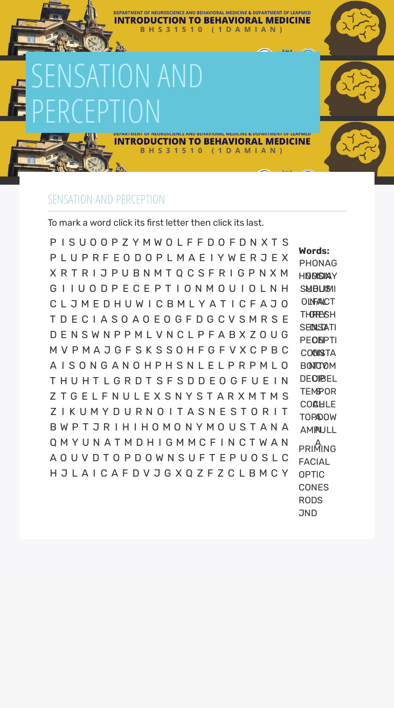 SENSATION AND PERCEPTION worksheet preview image