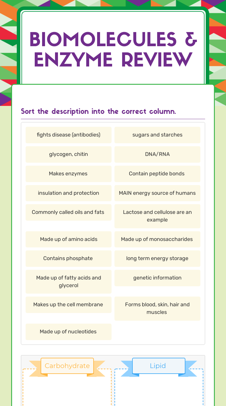 Biomolecules & Enzyme Review | Interactive Worksheet By Vanessa Merino ...